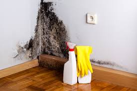 Best Mold Remediation for Healthcare Facilities in Charleston, MO